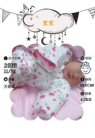 journal_insert_pic_1134298086