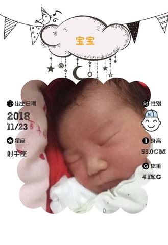 journal_insert_pic_1135315575