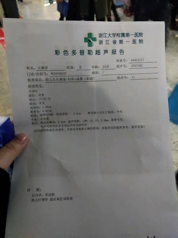 journal_insert_pic_1135058775