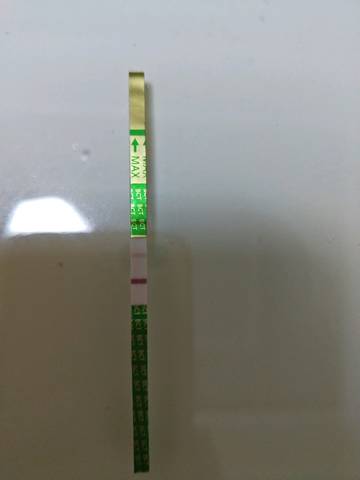 journal_insert_pic_1134954471