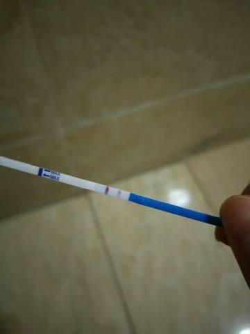 journal_insert_pic_1135989992