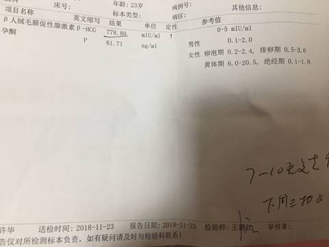 journal_insert_pic_1135851261