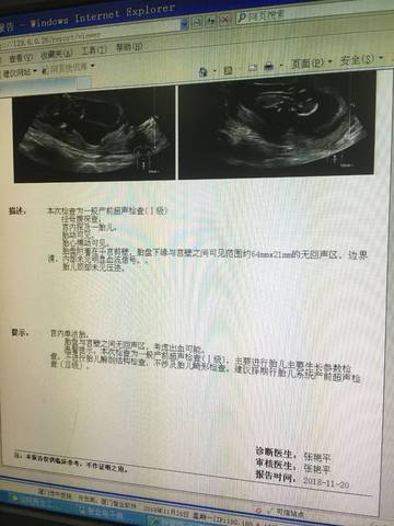 journal_insert_pic_1137628809