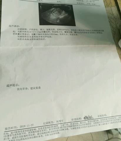 journal_insert_pic_1138288830