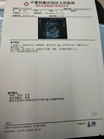 journal_insert_pic_1138360807