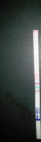journal_insert_pic_1138626530