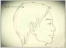 journal_insert_pic_1138900596