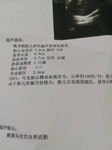 journal_insert_pic_1138924423