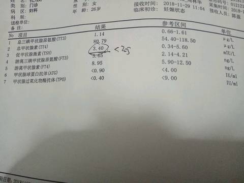 journal_insert_pic_1139781781