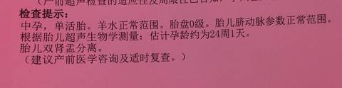 journal_insert_pic_1139752146