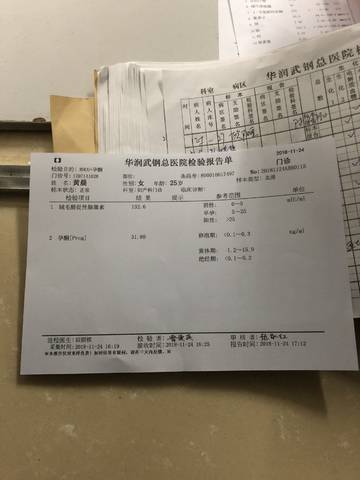 journal_insert_pic_1140432003