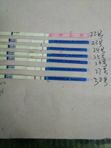 journal_insert_pic_1140664452
