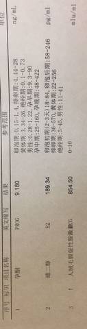 journal_insert_pic_1140840447