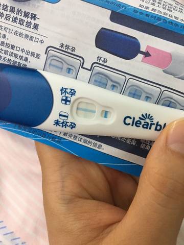journal_insert_pic_1140501443