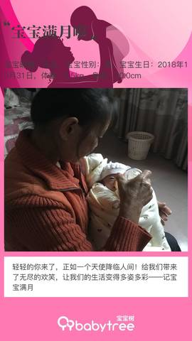 journal_insert_pic_1141182943