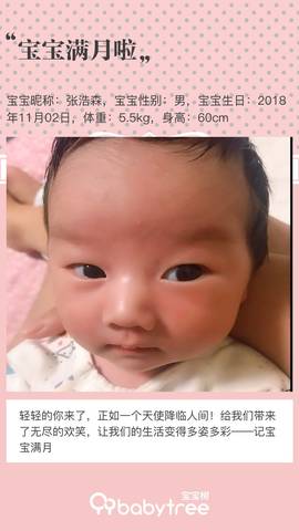 journal_insert_pic_1141390952