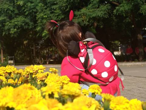 journal_insert_pic_1142733444