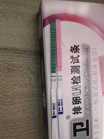 journal_insert_pic_1142816930