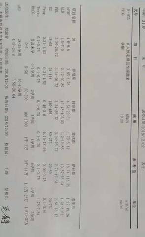 journal_insert_pic_1142644508