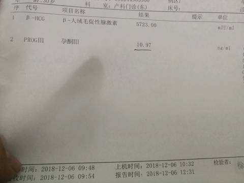 journal_insert_pic_1144439571