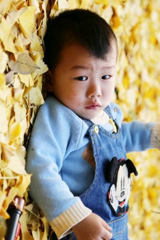 journal_insert_pic_1144900433