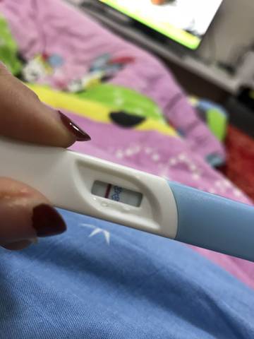 journal_insert_pic_1145391622