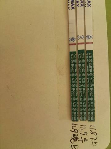 journal_insert_pic_1145982379