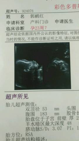 journal_insert_pic_1146881381