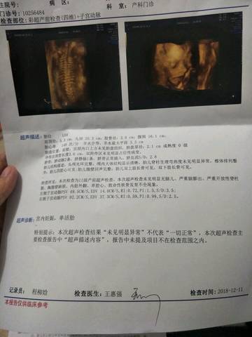 journal_insert_pic_1146909327