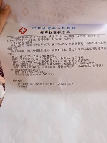 journal_insert_pic_1146687851