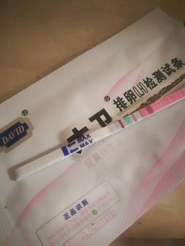 journal_insert_pic_1146794724