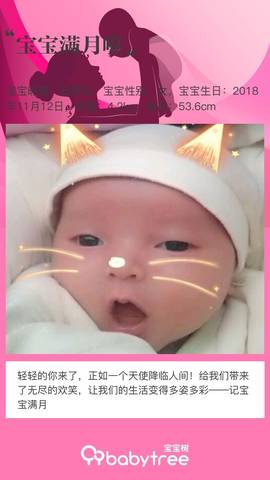 journal_insert_pic_1147749206