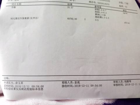 journal_insert_pic_1147604675