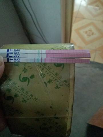 journal_insert_pic_1148603771