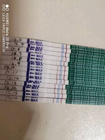journal_insert_pic_1149009464
