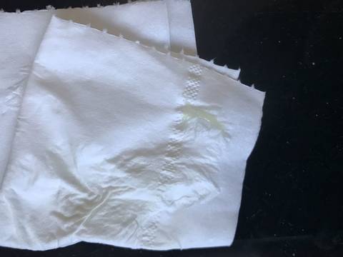 journal_insert_pic_1149570633