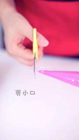 journal_insert_pic_1149952105