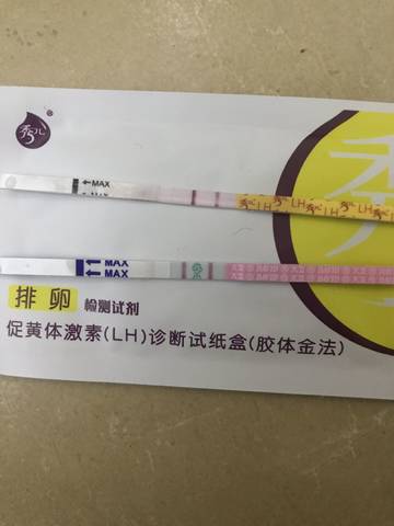 journal_insert_pic_1150501529