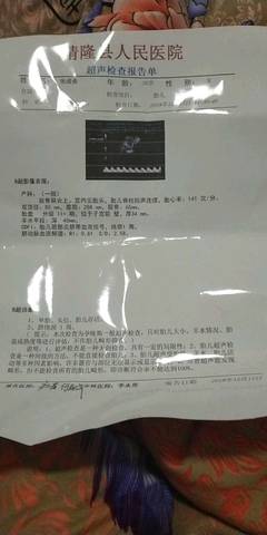 journal_insert_pic_1150108210
