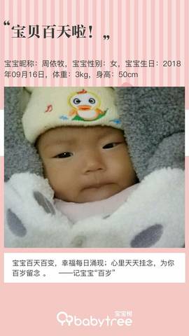 journal_insert_pic_1150676403