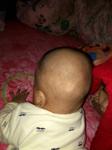 journal_insert_pic_1151411452
