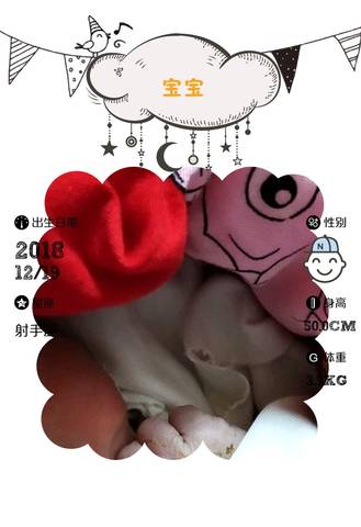 journal_insert_pic_1151456656