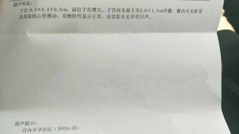journal_insert_pic_1151157604