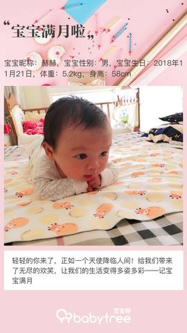 journal_insert_pic_1151428509