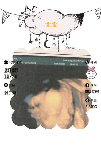 journal_insert_pic_1152153567