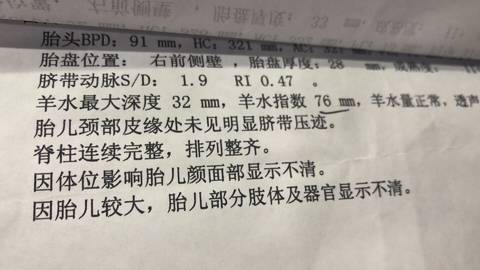 journal_insert_pic_1152398203