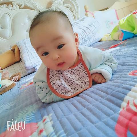 journal_insert_pic_1152815919