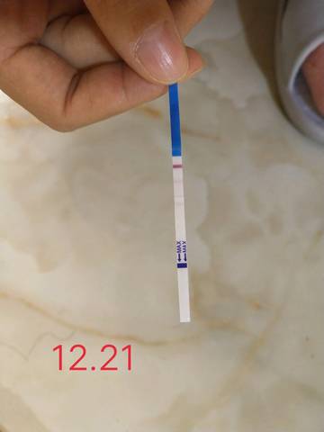 journal_insert_pic_1152774573