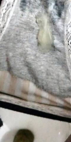 journal_insert_pic_1152928534