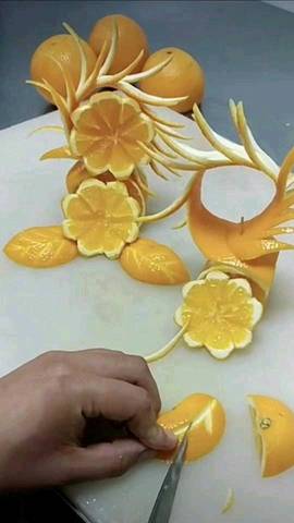 journal_insert_pic_1153023904